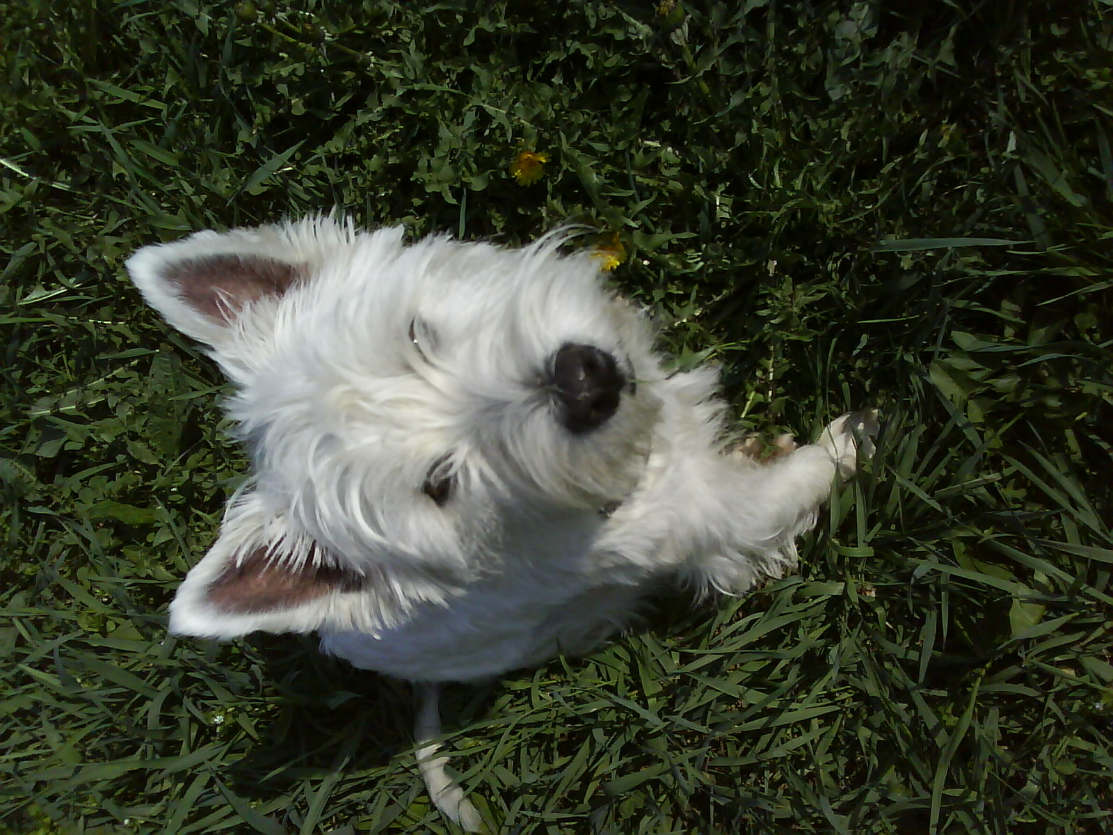 DSC00585.JPG