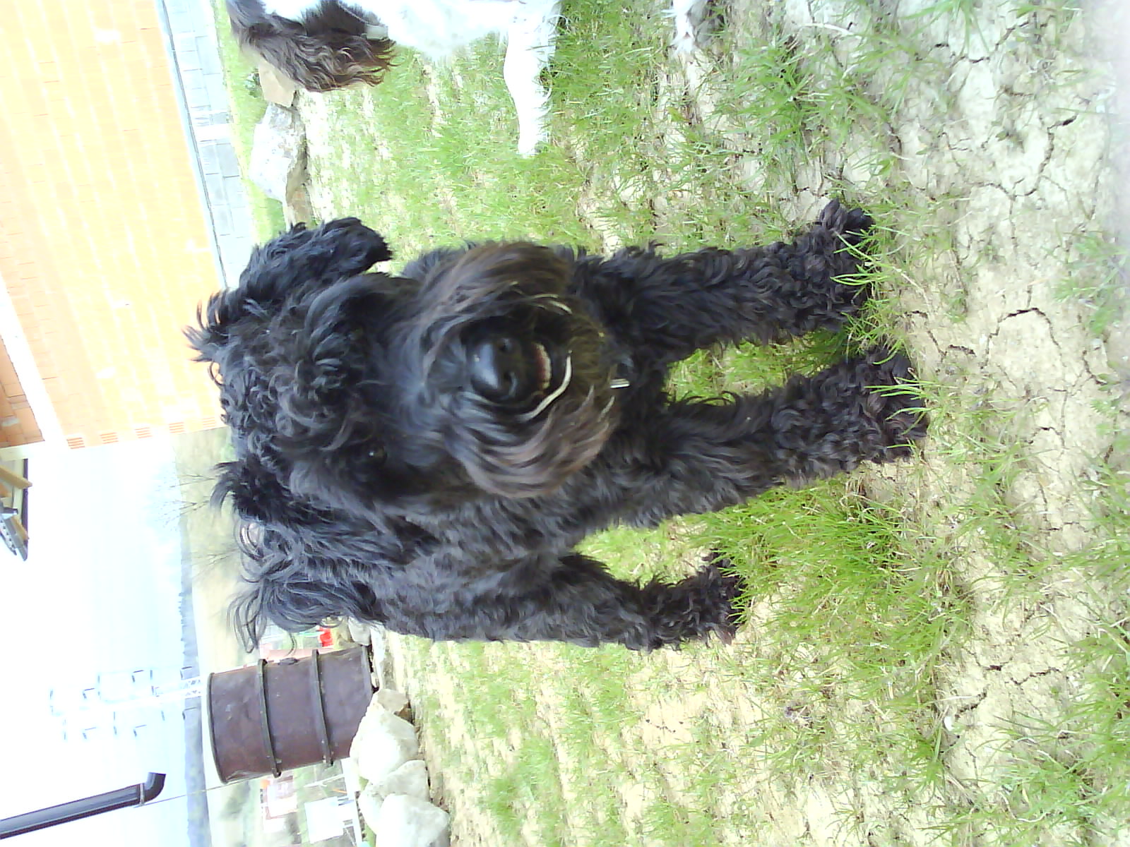DSC00545.JPG