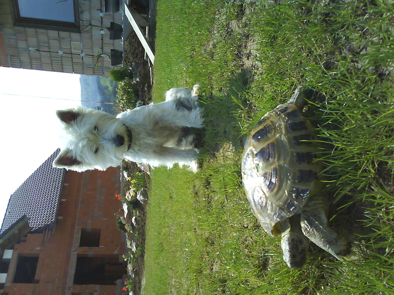 DSC00575.JPG
