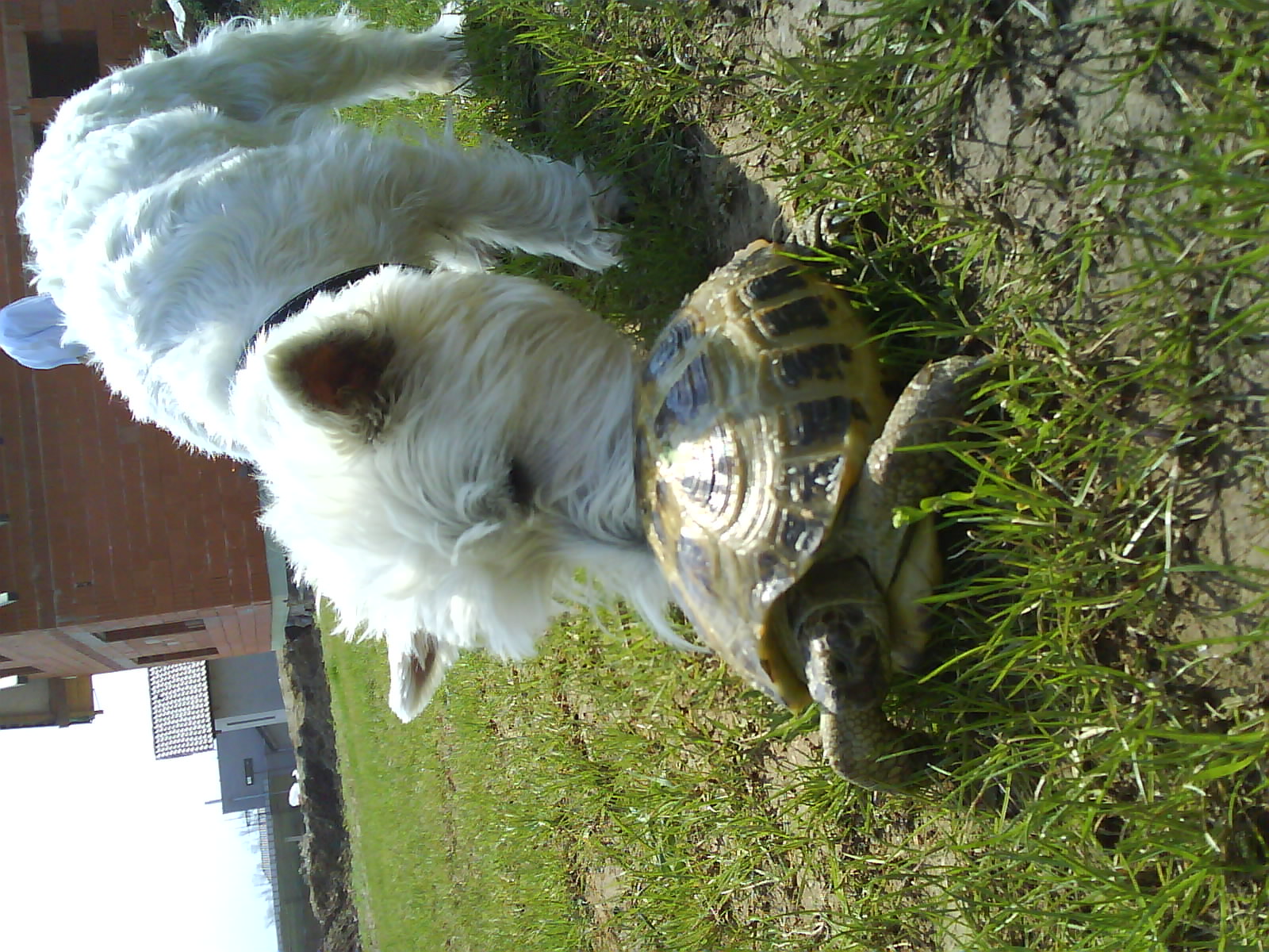 DSC00574.JPG