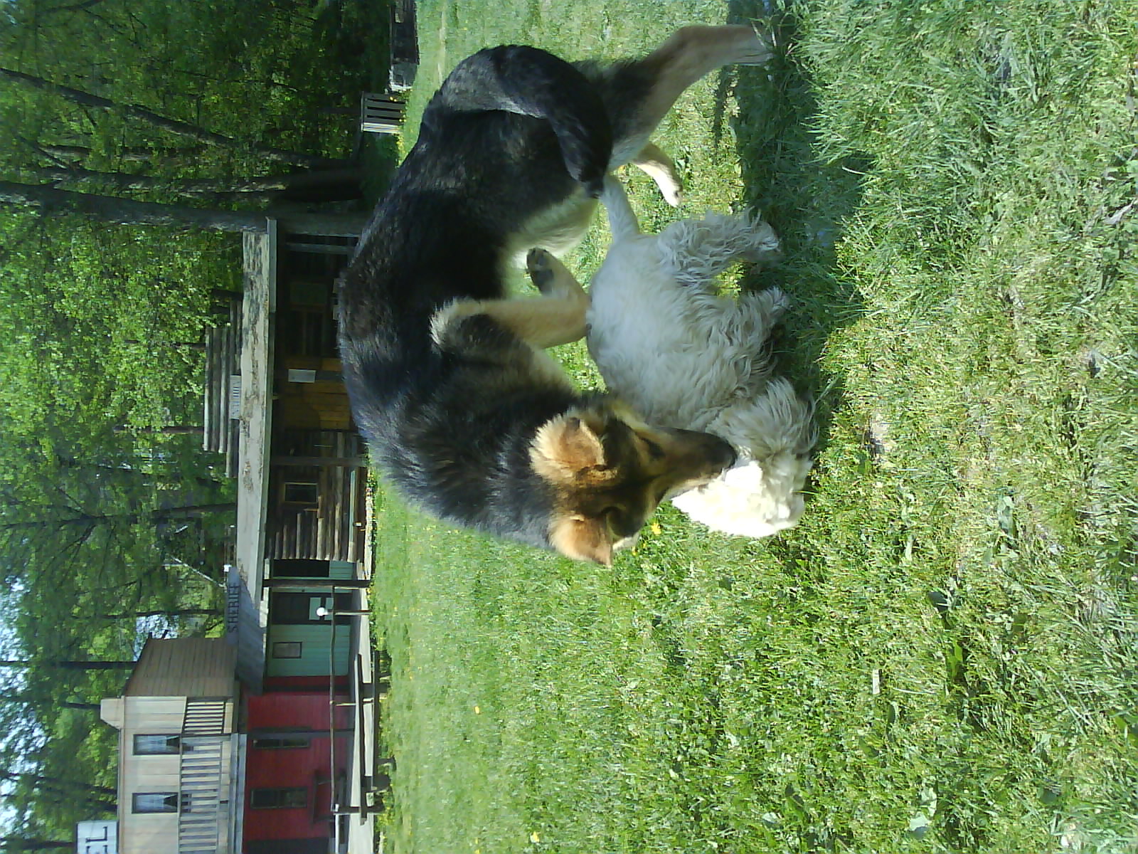 DSC00640.JPG
