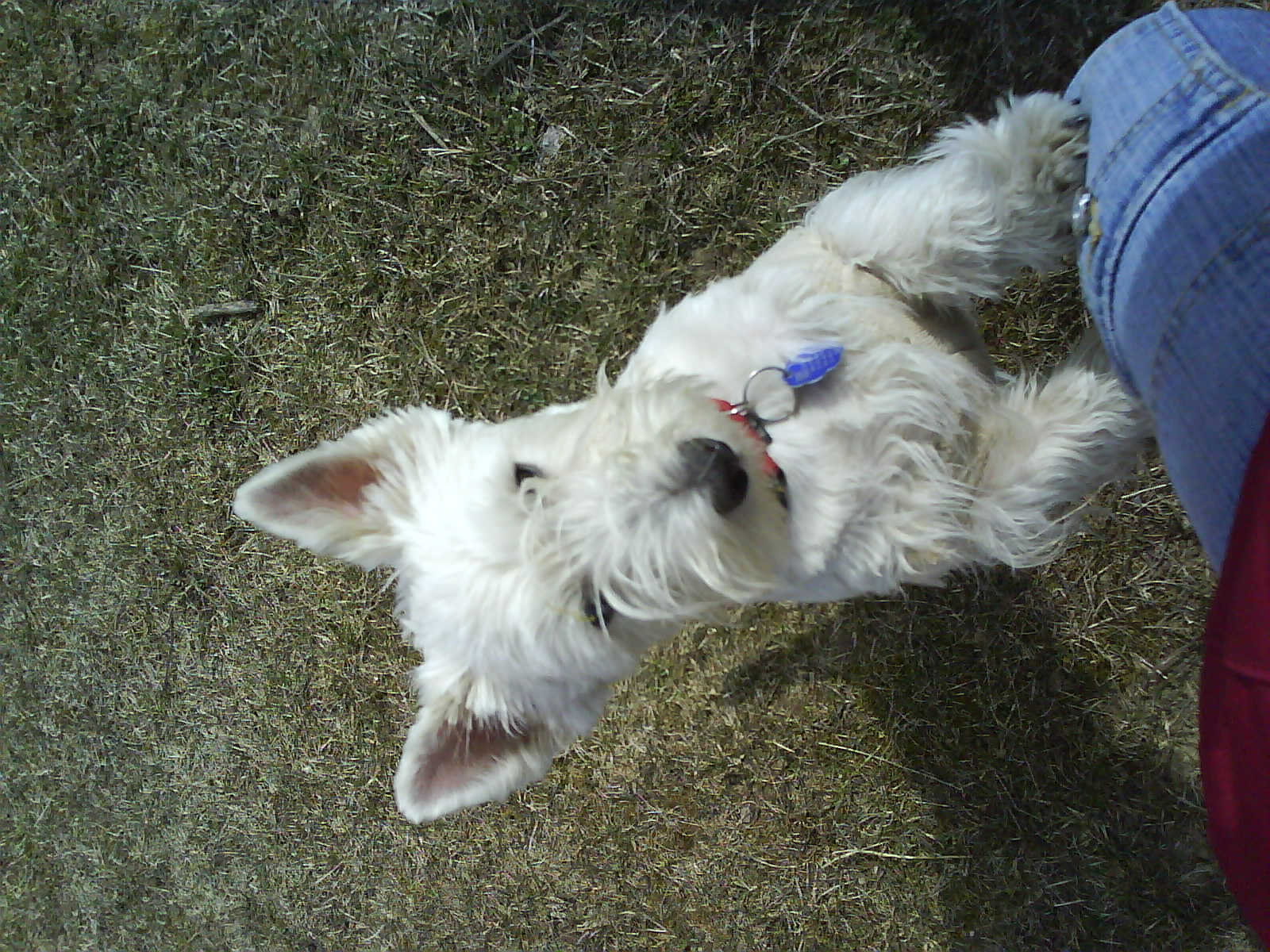 DSC00412.JPG