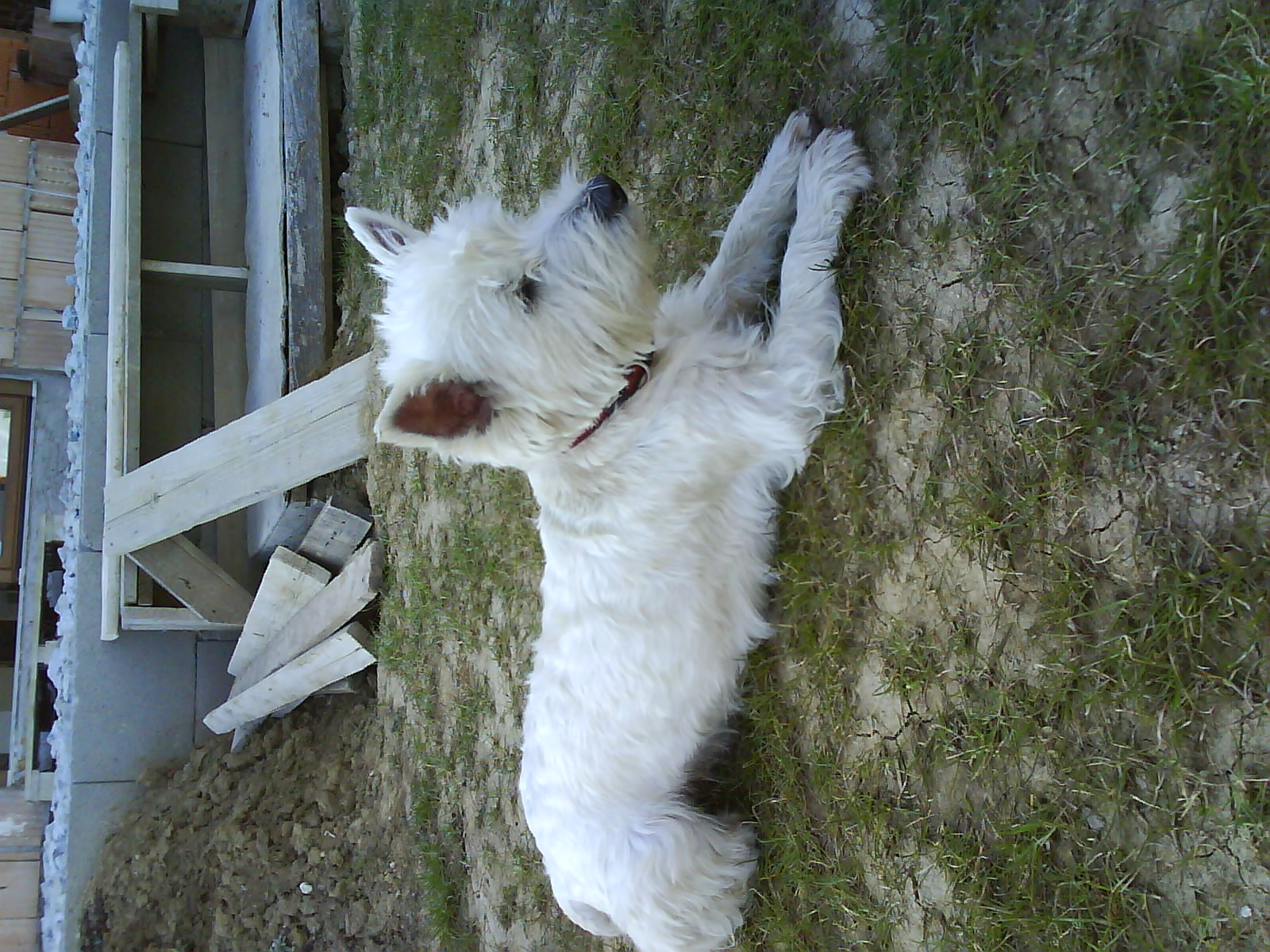DSC00482.JPG