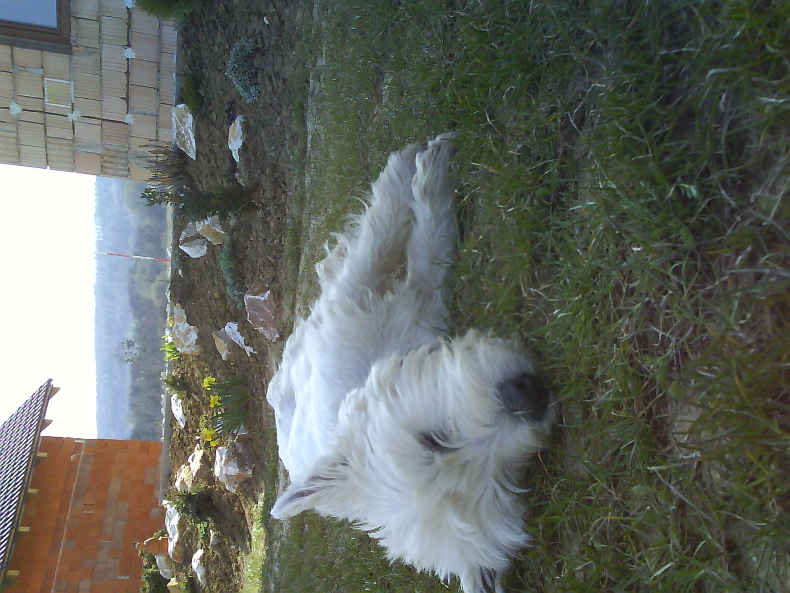 DSC00483.JPG