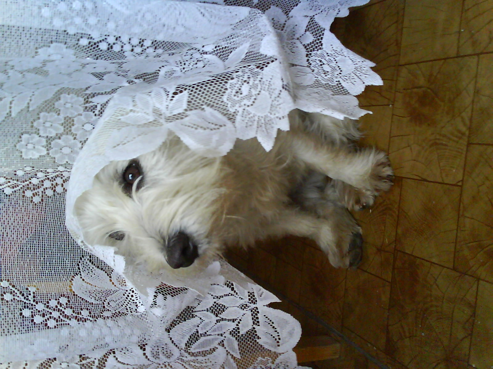 DSC00490.JPG