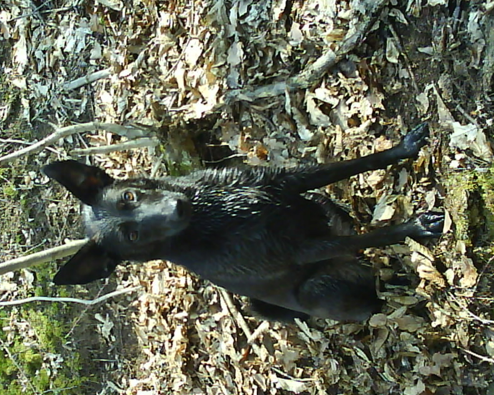 DSC00544.JPG